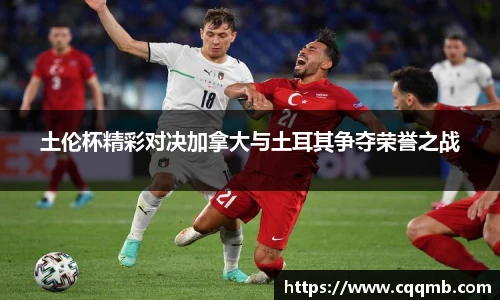 土伦杯精彩对决加拿大与土耳其争夺荣誉之战